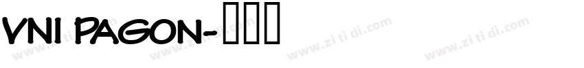 VNI Pagon字体转换
